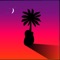 Te Vy - YVY MUSYC lyrics