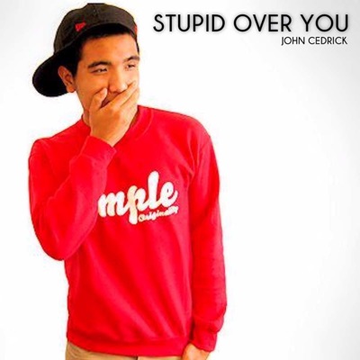 Stupid Over You - Single