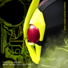 KAMEN RIDER ZERO ONE Best Song Collection - Various Artists