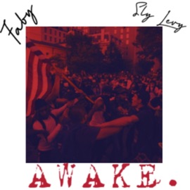 Awake Sly Levy