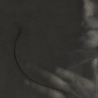 The Serpent Phase - Offthesky