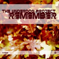 The Underdog Project - Remember (Radio Cut)