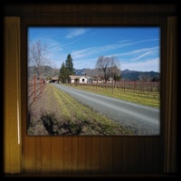 Solace (feat. Dana Gioia) - Single - John Theodore