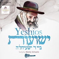 Yeshios - Single - Moishy Schwartz