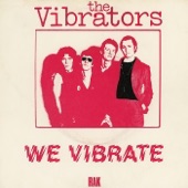 We Vibrate artwork