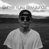 Şehrin Yükü Bavulunda artwork