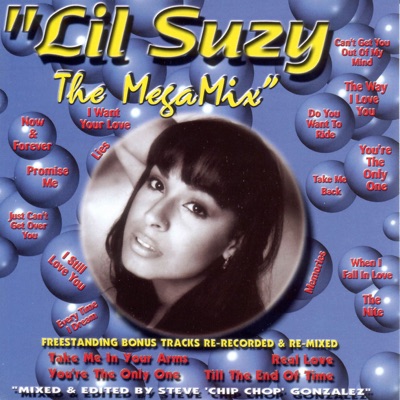 Song - Take Me In Your Arms - Lil Suzy