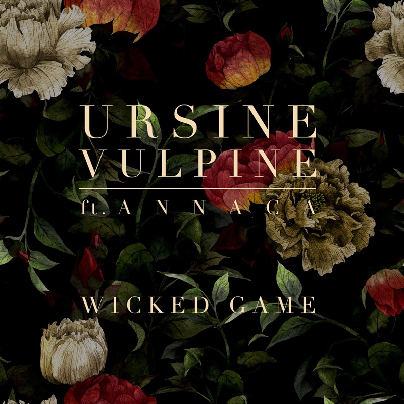Meaning of Wicked Game by Ursine Vulpine & Annaca