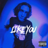 Like You (feat. Doze) - Single - Static