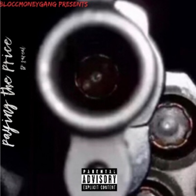 Paying the Price - Single