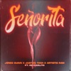 Señorita (feat. ReyCarlito) - Single