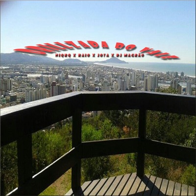 Drillzada do Vale - Single