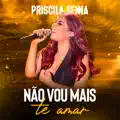 Não Vou Mais Te Amar
