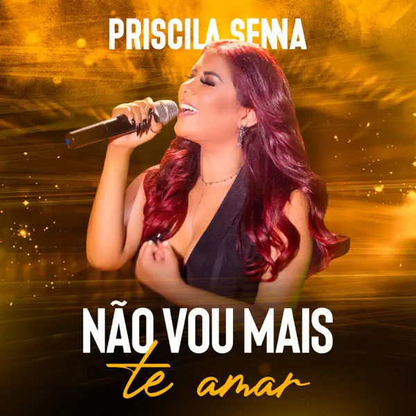 Não Vou Mais Te Amar — Priscila Senna