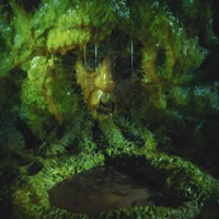 Anti - Virus - Single - Yung Bundy