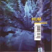 HUM - Afternoon With the Axolotls