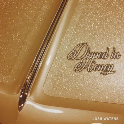 Dipped in Honey - Single