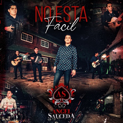 No Está Fácil - Single