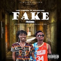 Fake Friends (feat. Soundcard) - Single - Liku VimBwoy
