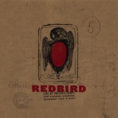 Redbird - Let the Mermaids Flirt With Me