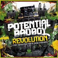 Revolution (feat. Demolition Man & Show Stephens) - Potential Badboy