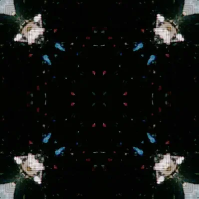 Listen to Time? This. by Celer