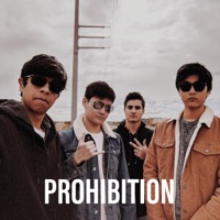Prohibition (feat. Jaba) - Single - DJ Wayng