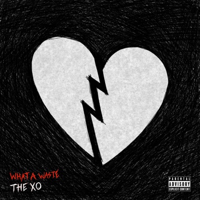What a Waste - Single