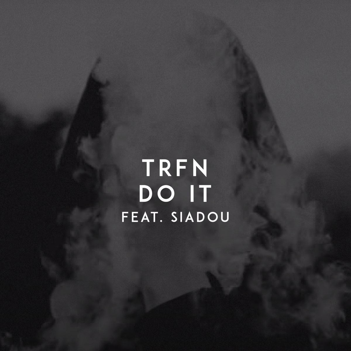 Do It (feat. Siadou) - Single - Album by TRFN - Apple Music
