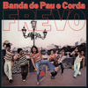 Frevo - Pelas Ruas do Recife - Banda de Pau e Corda