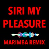 My Pleasure (feat. Siri) [I'm Sorry I'll Try Harder Hip Hop Beats 2019] artwork