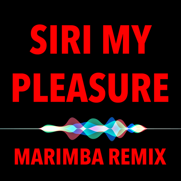 My Pleasure Feat Siri Im Sorry Ill Try Harder Hip Hop Beats 2019 Single By Marimba Remix - 