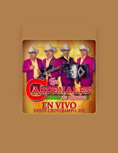 Listen to Los Cardenales De Sinaloa, watch music videos, read bio, see tour dates & more!