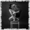 Wenn die Party vorbei ist (feat. Maenix) - Markus Popp lyrics