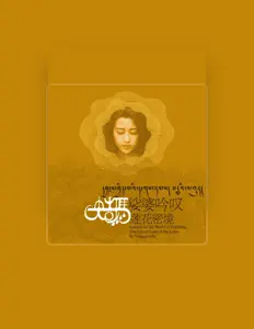 Yunggie Maを聴いたり、ミュージックビデオを鑑賞したり、経歴やツアー日程などを確認したりしましょう！