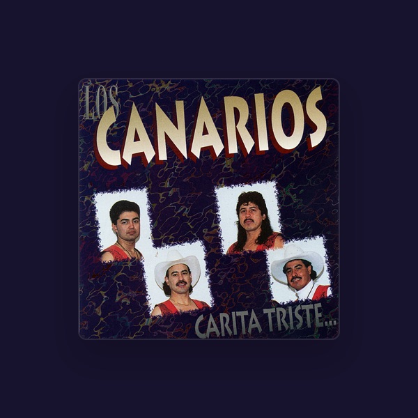 Los Canarios's avatar