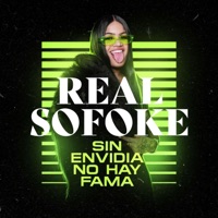 Album cover for Panda by Real Sofoke Hiigh