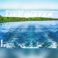 Like Water (feat. ChrisTheJuicMan) - Single - BigHomie