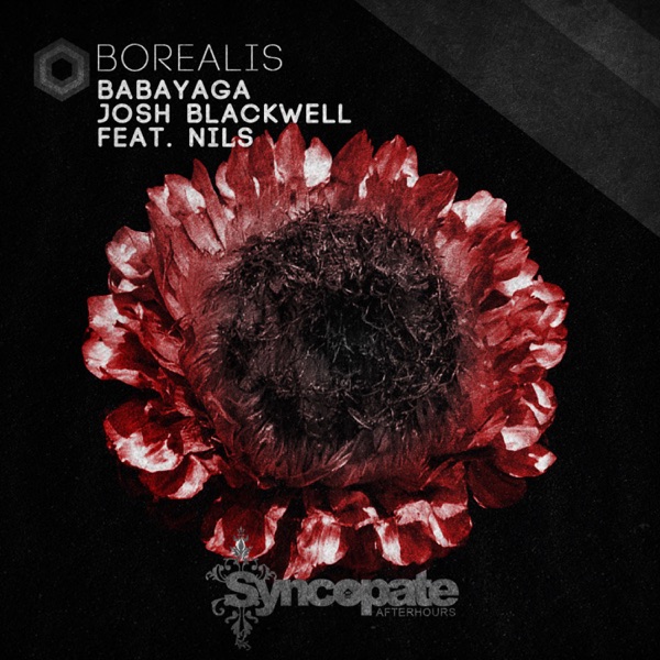 Borealis (feat. Nils) - Single