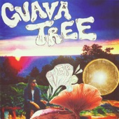 Guava Tree - Rabbit Hole