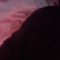 Cry - Single - Sholoh