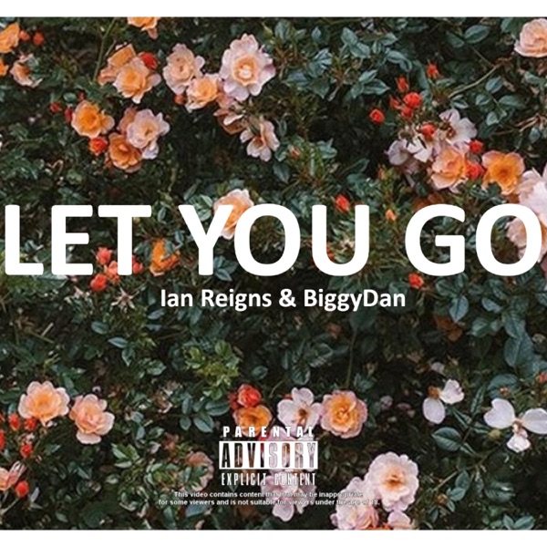 Let You Go (feat. BiggyDan)