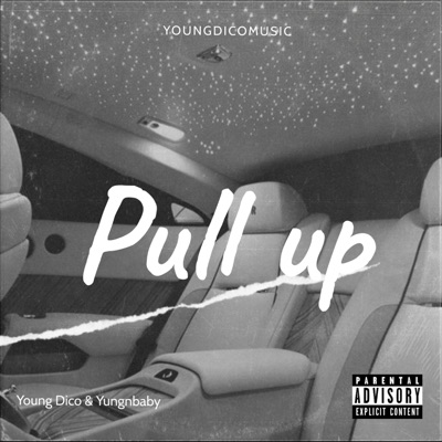 Pull Up (feat. Yungnbaby) - Single