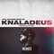 Insanity (feat. A.I. The Anomaly, Jes Norris) - Knaladeus & Dstl lyrics