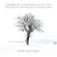 Here and Now (feat. Michel Reis, Jeff Herr, Marc Demuth & Sigurdur Flosason) - Sigurdur Flosason DeLux 4Tet