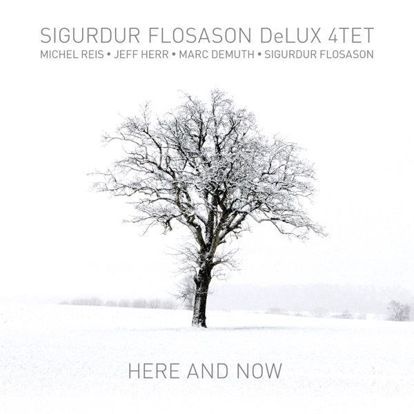 Here and Now (feat. Michel Reis, Jeff Herr, Marc Demuth & Sigurdur Flosason)