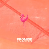 Promise artwork