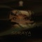 Soraya - DJ Kayel lyrics