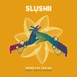 Slushii - Never Let You Go (feat. Sofia Reyes)