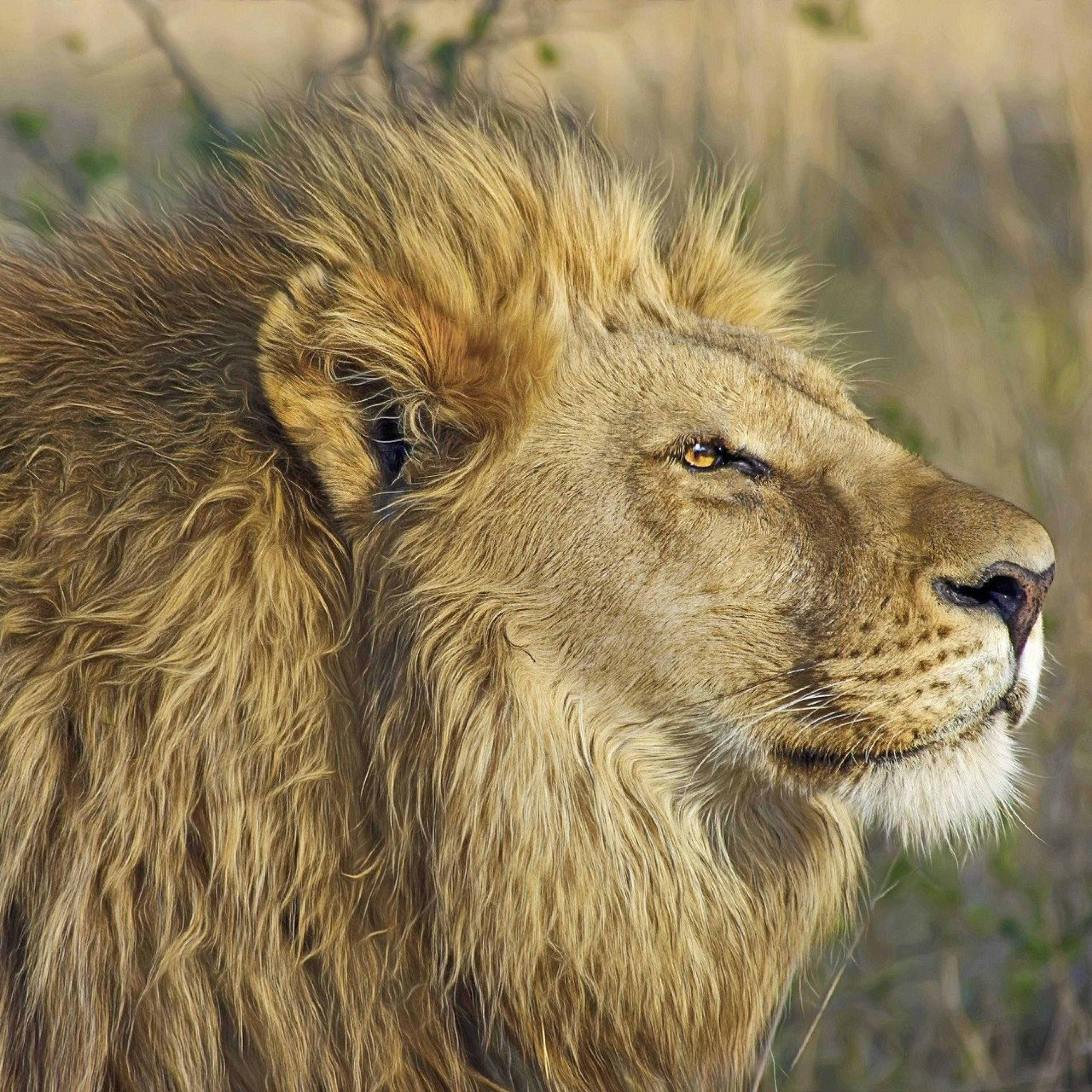 Chill House Part 1, Vol. 5